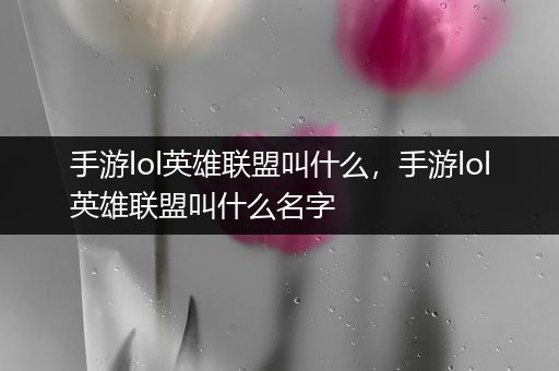 手游lol英雄联盟叫什么，手游lol英雄联盟叫什么名字