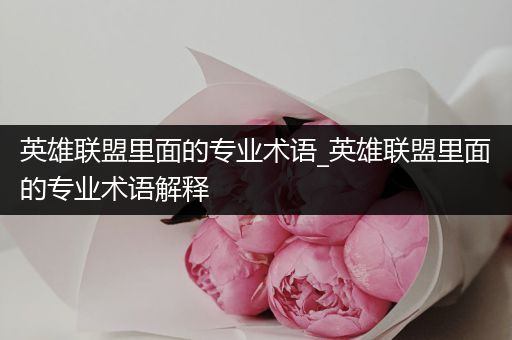 英雄联盟里面的专业术语_英雄联盟里面的专业术语解释
