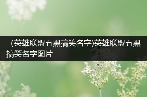 （英雄联盟五黑搞笑名字)英雄联盟五黑搞笑名字图片