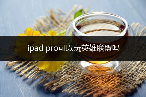 ipad pro可以玩英雄联盟吗