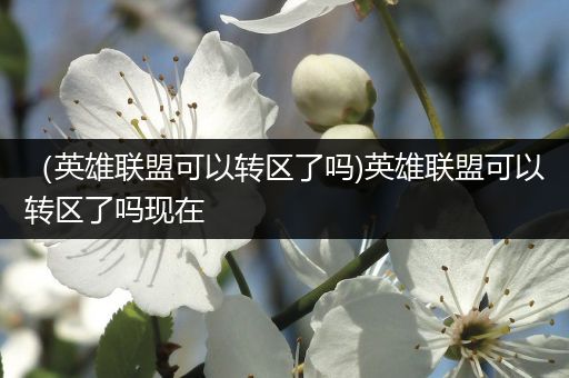 （英雄联盟可以转区了吗)英雄联盟可以转区了吗现在