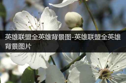 英雄联盟全英雄背景图-英雄联盟全英雄背景图片