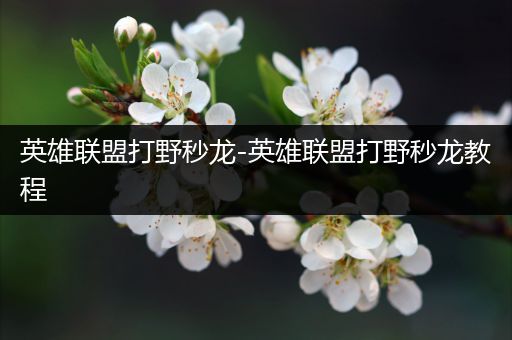 英雄联盟打野秒龙-英雄联盟打野秒龙教程