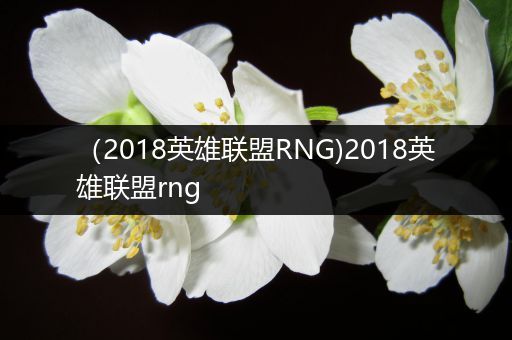 （2018英雄联盟RNG)2018英雄联盟rng