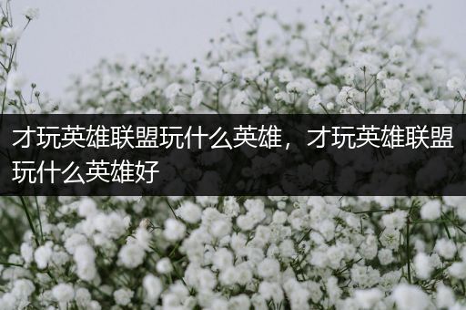 才玩英雄联盟玩什么英雄，才玩英雄联盟玩什么英雄好