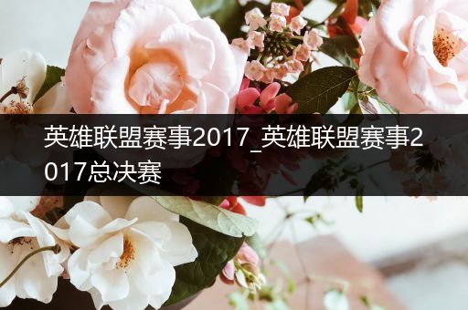 英雄联盟赛事2017_英雄联盟赛事2017总决赛