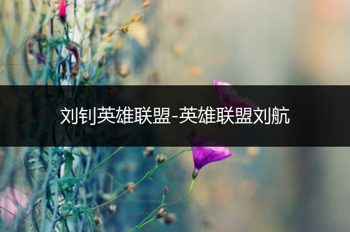 刘钊英雄联盟-英雄联盟刘航