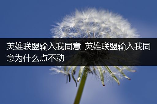 英雄联盟输入我同意_英雄联盟输入我同意为什么点不动