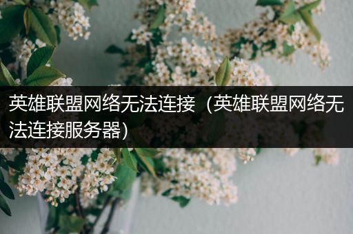 英雄联盟网络无法连接（英雄联盟网络无法连接服务器）