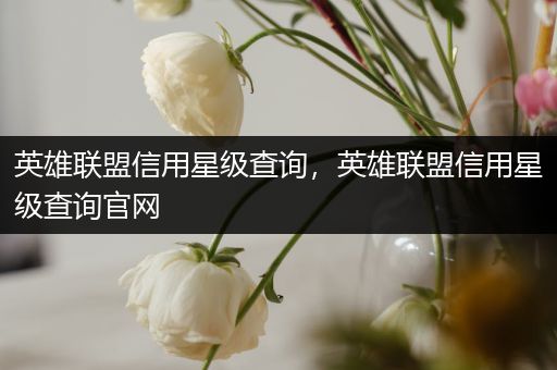 英雄联盟信用星级查询，英雄联盟信用星级查询官网