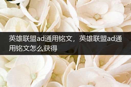 英雄联盟ad通用铭文，英雄联盟ad通用铭文怎么获得