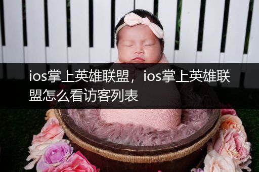 ios掌上英雄联盟，ios掌上英雄联盟怎么看访客列表