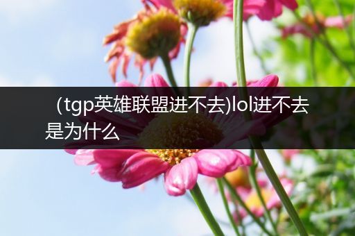 （tgp英雄联盟进不去)lol进不去是为什么