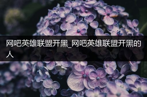 网吧英雄联盟开黑_网吧英雄联盟开黑的人