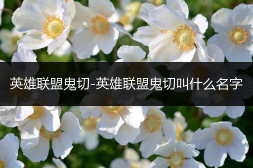 英雄联盟鬼切-英雄联盟鬼切叫什么名字