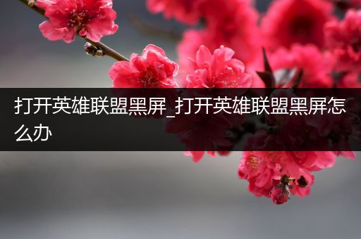 打开英雄联盟黑屏_打开英雄联盟黑屏怎么办