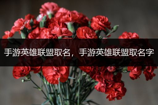 手游英雄联盟取名，手游英雄联盟取名字