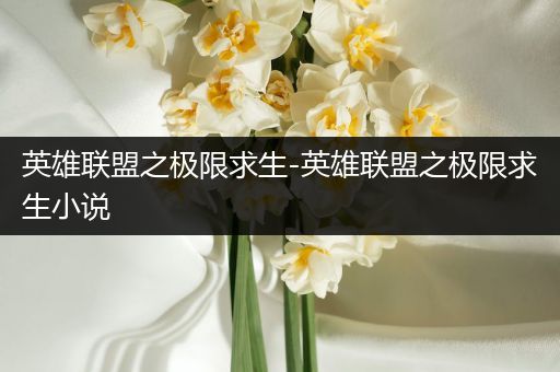 英雄联盟之极限求生-英雄联盟之极限求生小说