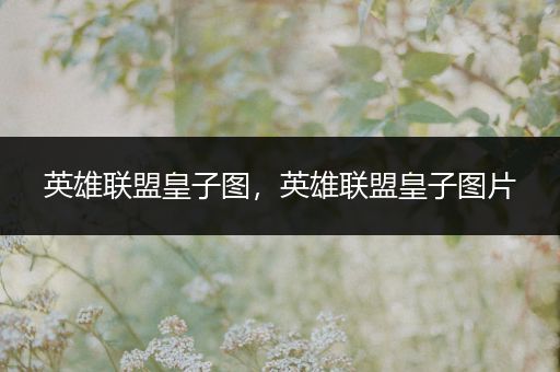 英雄联盟皇子图，英雄联盟皇子图片