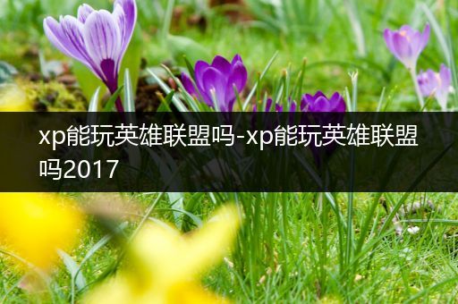 xp能玩英雄联盟吗-xp能玩英雄联盟吗2017