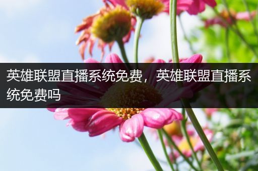 英雄联盟直播系统免费，英雄联盟直播系统免费吗