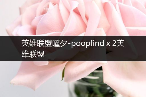 英雄联盟曈夕-poopfindⅹ2英雄联盟