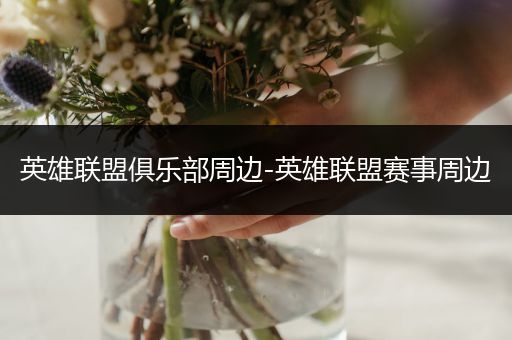 英雄联盟俱乐部周边-英雄联盟赛事周边