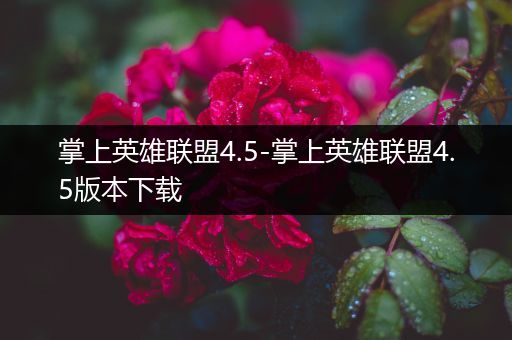 掌上英雄联盟4.5-掌上英雄联盟4.5版本下载