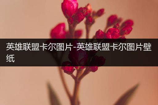 英雄联盟卡尔图片-英雄联盟卡尔图片壁纸