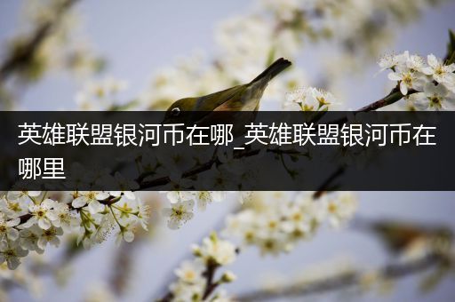 英雄联盟银河币在哪_英雄联盟银河币在哪里