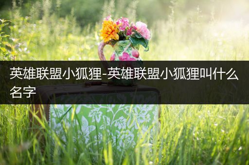 英雄联盟小狐狸-英雄联盟小狐狸叫什么名字