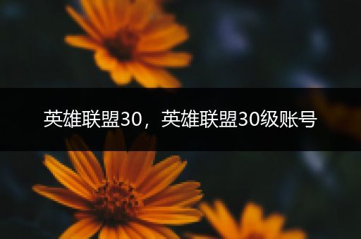 英雄联盟30，英雄联盟30级账号