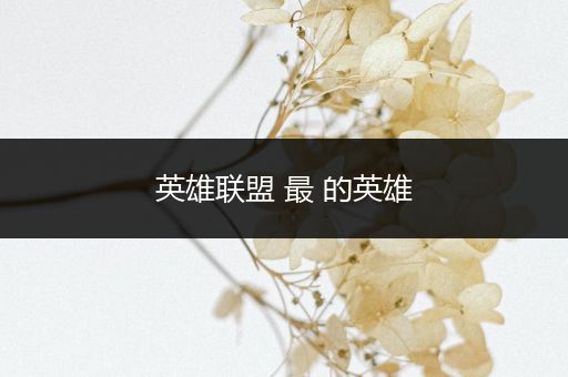 英雄联盟 最 的英雄