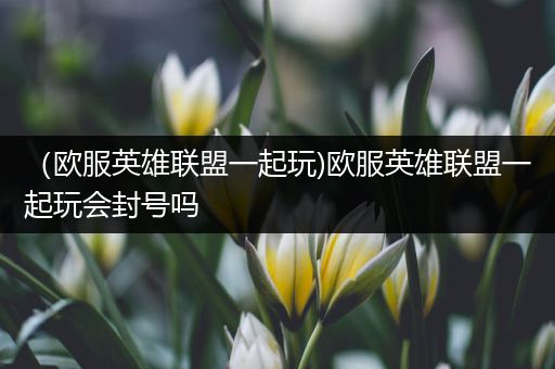 （欧服英雄联盟一起玩)欧服英雄联盟一起玩会封号吗