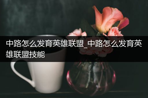 中路怎么发育英雄联盟_中路怎么发育英雄联盟技能