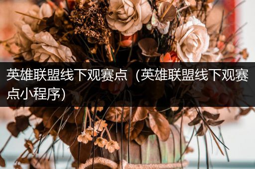 英雄联盟线下观赛点（英雄联盟线下观赛点小程序）