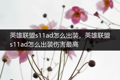 英雄联盟s11ad怎么出装，英雄联盟s11ad怎么出装伤害最高