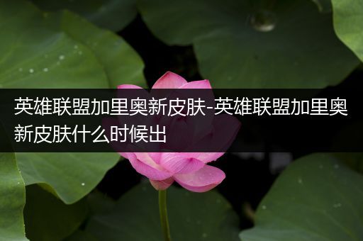 英雄联盟加里奥新皮肤-英雄联盟加里奥新皮肤什么时候出
