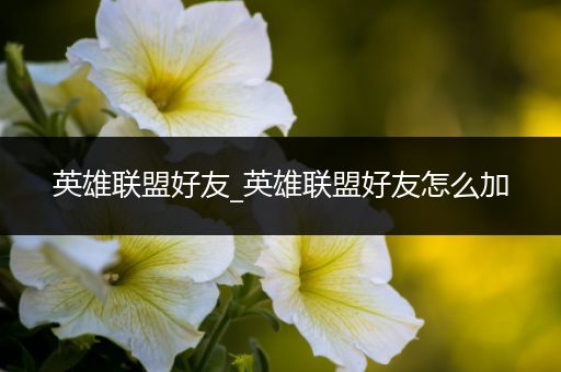 英雄联盟好友_英雄联盟好友怎么加