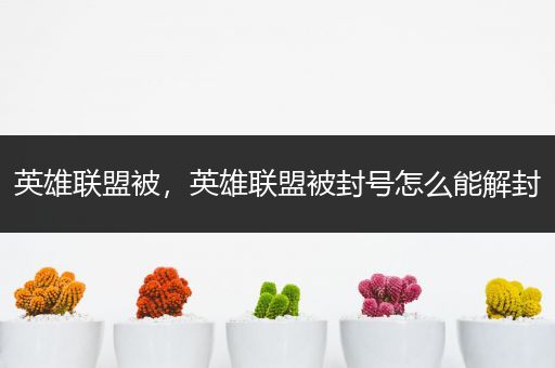 英雄联盟被，英雄联盟被封号怎么能解封