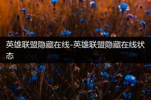 英雄联盟隐藏在线-英雄联盟隐藏在线状态
