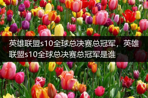 英雄联盟s10全球总决赛总冠军，英雄联盟s10全球总决赛总冠军是谁