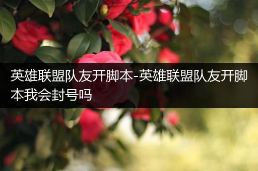 英雄联盟队友开脚本-英雄联盟队友开脚本我会封号吗