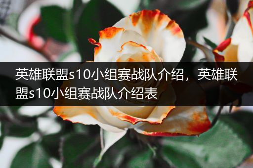 英雄联盟s10小组赛战队介绍，英雄联盟s10小组赛战队介绍表