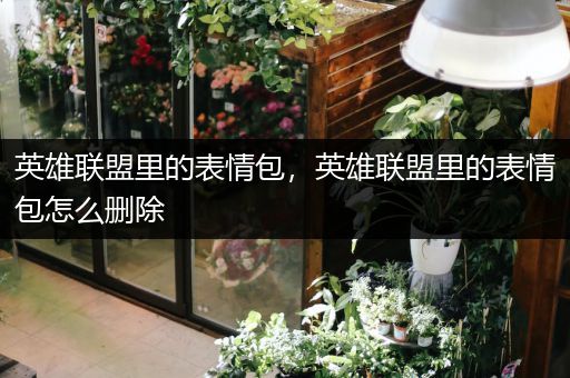 英雄联盟里的表情包，英雄联盟里的表情包怎么删除