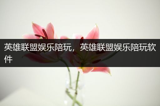 英雄联盟娱乐陪玩，英雄联盟娱乐陪玩软件