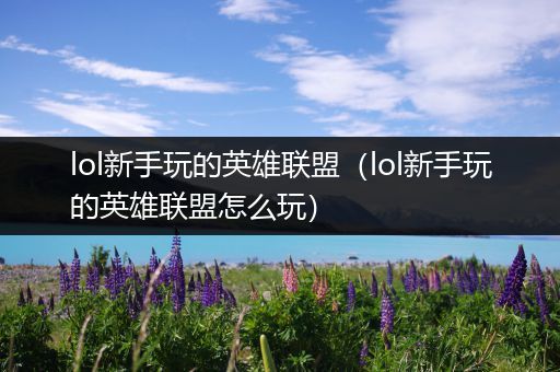 lol新手玩的英雄联盟（lol新手玩的英雄联盟怎么玩）