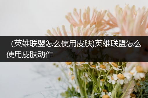 （英雄联盟怎么使用皮肤)英雄联盟怎么使用皮肤动作