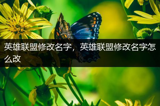 英雄联盟修改名字，英雄联盟修改名字怎么改
