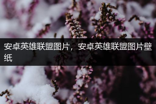 安卓英雄联盟图片，安卓英雄联盟图片壁纸